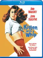 Kitten With a Whip Authentic