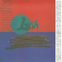 Fresh Stock Split