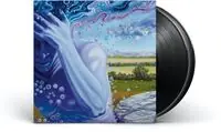Discount The Absence Of Presence [2LP]