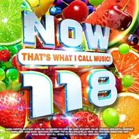 Exclusive Offer Now That's What I Call Music 118 / Various