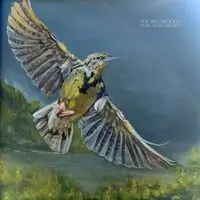 Dear Meadowlark Deal
