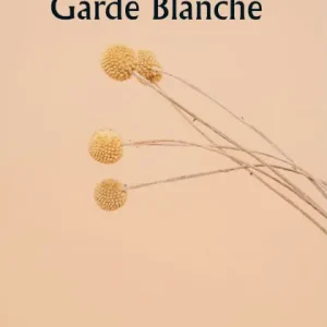 Today Only La marche de la Garde Blanche