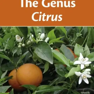 The Genus Citrus Top Pick