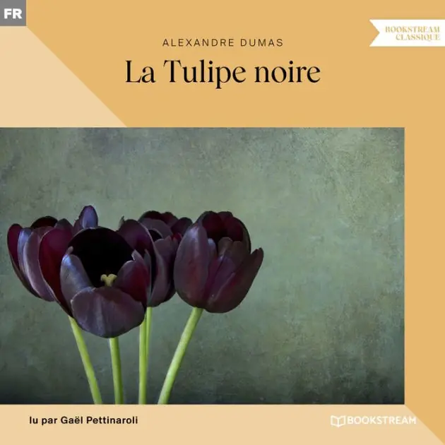 Express Delivery La tulipe noire