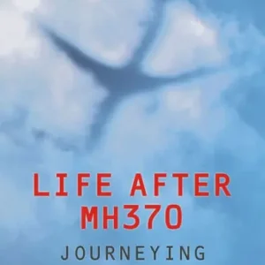 Life After MH370: Journeying Through a Void Price Drop