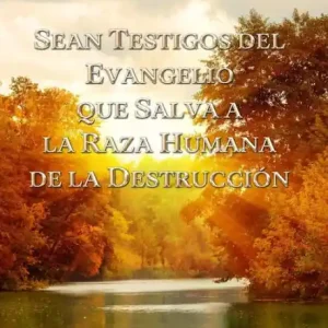 Exclusive Offer Sermones Sobre Génesis (VI) - Sean Testigos Del Evangelio Que Salva A La Raza Humana De La Destrucción
