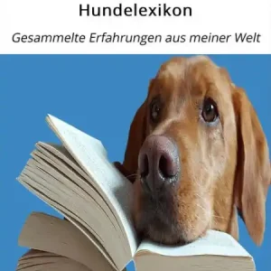 Express Delivery Mein persönliches Hundelexikon: Gesammelte Erfahrungen aus meiner Welt