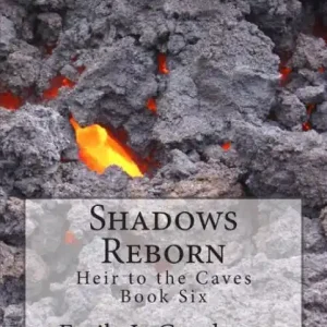 Final Sale Shadows Reborn