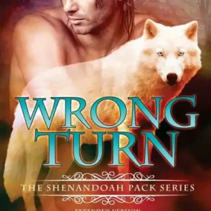 Holiday Sale Wrong Turn