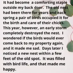 SPRING STORM: A Lined Journal Notebook dedicated to bird watchers and nature lovers. Buy Today