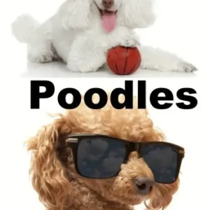 Poodles: Dog Books for Kids New Release