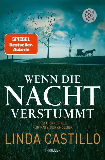 Discount Wenn die Nacht verstummt: Thriller Spannender Thriller bei den Amischen