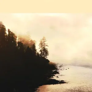 Le sorcier d'Anticosti Grab Now