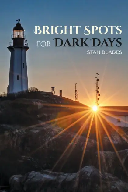 Editor’s Pick Bright Spots for Dark Days