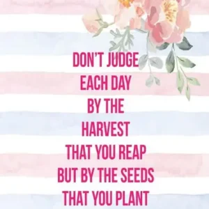 Latest Don't judge each day by the harvest that you reap but by the seeds that you plant: Blank Lined Page Journal Portable