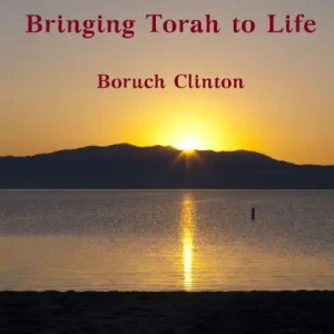 Super Sale Midrash - Bringing Torah to Life