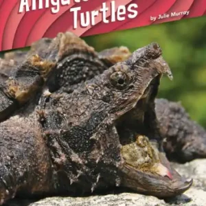 Alligator Snapping Turtles Order Now