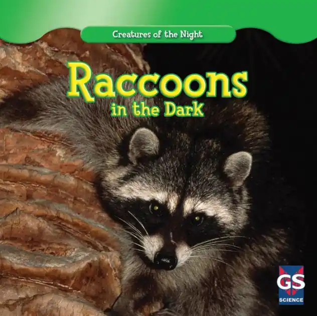 Raccoons in the Dark Free Delivery