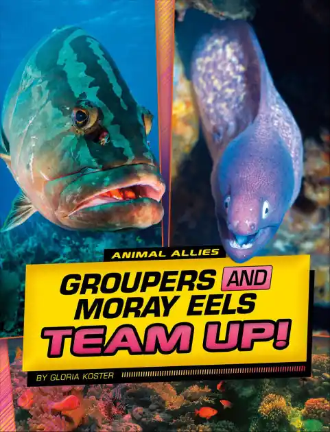 Groupers and Moray Eels Team Up! Affordable