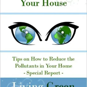 Pollutants in Your House: Tips on How to Reduce the Pollutants in Your Home - Special Report Budget