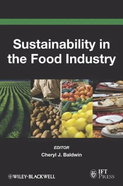 Big Sale Sustainability in the Food Industry