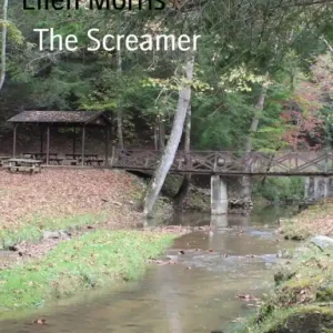 The Screamer Save Now
