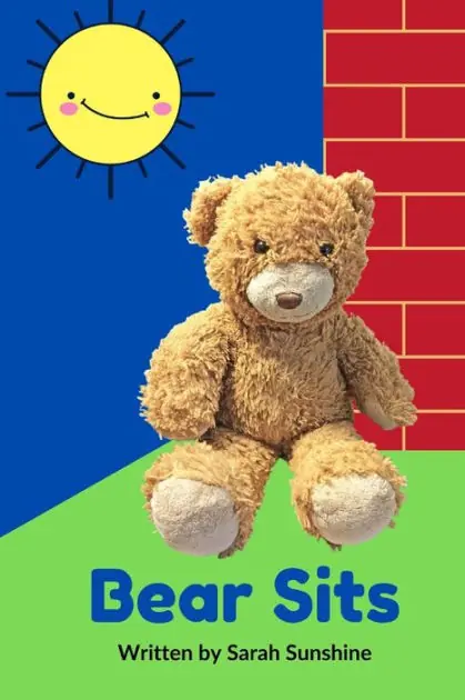 Save Now Bear Sits