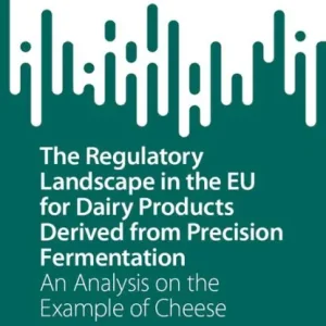 The Regulatory Landscape in the EU for Dairy Products Derived from Precision Fermentation: An Analysis on the Example of Cheese Weekend Sale