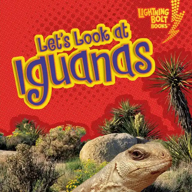 Let's Look at Iguanas No Minimum Order
