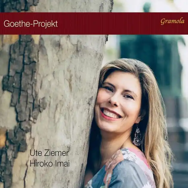 Buy Today Goethe-Project
