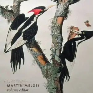 The New Encyclopedia of Southern Culture: Volume 8: Environment Today Only