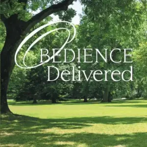 Cheap Obedience Delivered