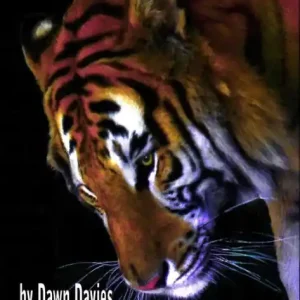 Tigers Affordable