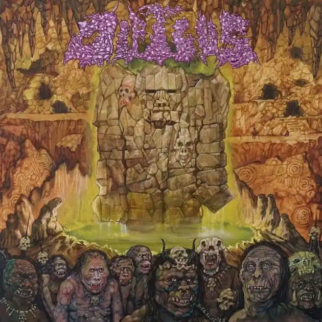 Weekend Sale Dipygus