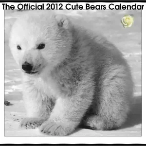 The Official 2012 Cute Bears Calendar Editor’s Pick