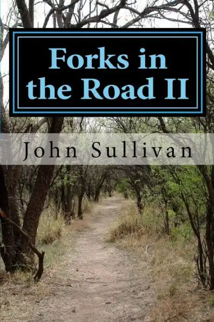 Seasonal Sale Forks in the Road II: Small town lives and lessons
