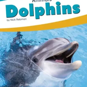 Dolphins Premium