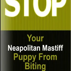 New Arrival Keep Your Neapolitan Mastiff From Biting