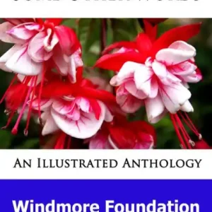 Some Other Words, an Illustrated Anthology Last Chance