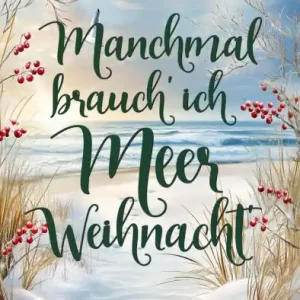 Worldwide Shipping Manchmal brauch' ich Meer Weihnacht': Ida. Winter. Ein Inselroman.