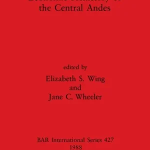 Economic Prehistory of the Central Andes Big Sale