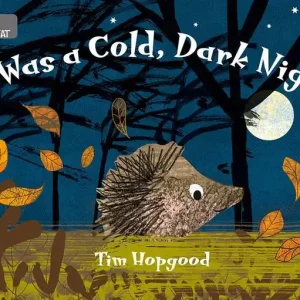 It Was a Cold Dark Night: Band 03/Yellow Bulk Order