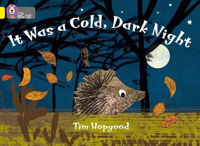 It Was a Cold Dark Night: Band 03/Yellow Bulk Order