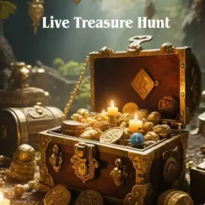 Same Day Shipping Live Treasure Hunt