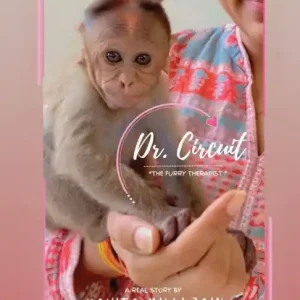 Dr. Circuit: The Furry Therapist Limited Offer
