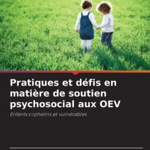 Pratiques et dÃ¯Â¿Â½fis en matiÃ¯Â¿Â½re de soutien psychosocial aux OEV Top Rated