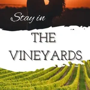 No Minimum Order Stay in The Vineyards