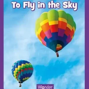 Cheap To Fly in the Sky