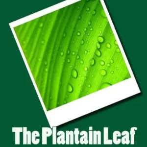 The Plantain Leaf Luxury