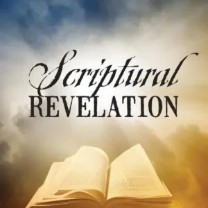 Buy Direct Scriptural Revelation: What Does God's Word Say?